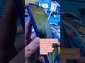 RJ TECHNOLOGIES HUBLI 9141832188Redmi note 7 COMBO Cog  REPLACEMENT DONE @ JUST 1299RS #mobilerepair
