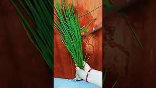 ​✨ Satisfying Spring Onion Cleaning &amp; Cutting! | Kitchen ASMR #shorts