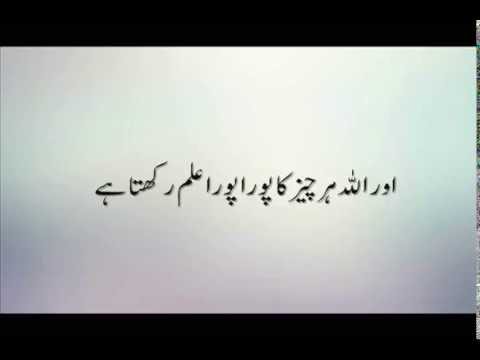 Surah Nur Ayat 35 + Urdu Translation - YouTube