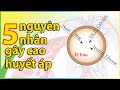 5 nguyên nhân gây Cao Huyết Áp. Thay đổi lối sống để hy vọng đỡ phải uống thuốc.