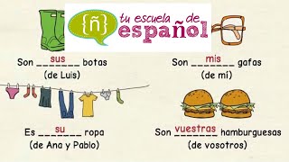 Aprender Español: Clase En Directo Sobre Los Posesivos (Nivel Básico)