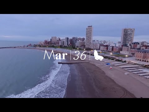 Spot de programación | 36° Mar del Plata Film Festival