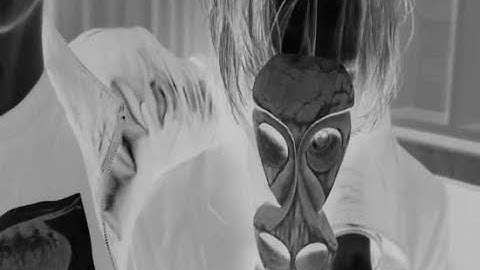 FBS x Exvy - backwoods freestyle (Official Mood Video)