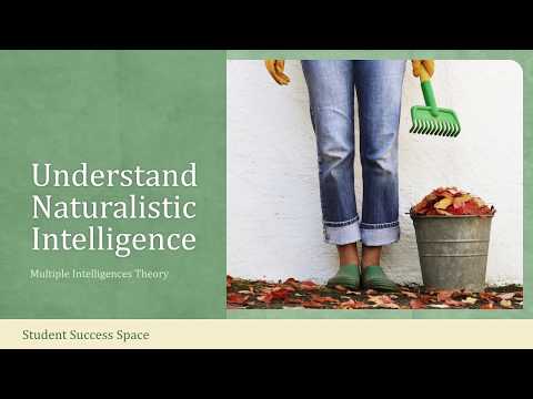 Understand Naturalistic Intelligence