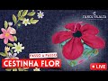 Cesta FLOR | Live | Carol Vilalta