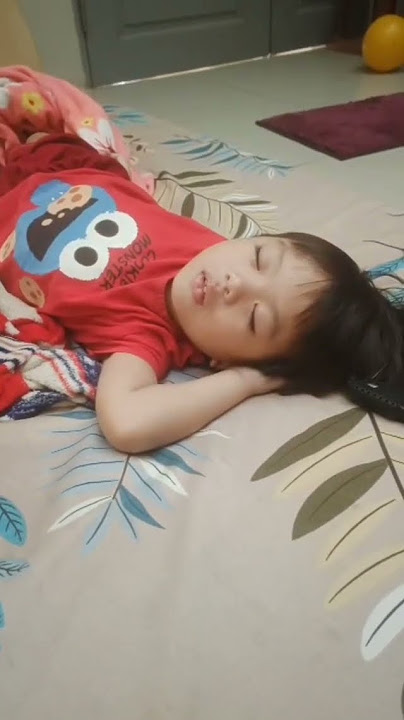 makan dan tidur