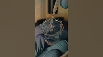 $1 sanitizer vs. bacteria! 🦠💥 See what happens! #Microscope #Science #Sanitizer #Bacteria #science