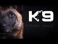 Military&Police Dogs │ Tribute