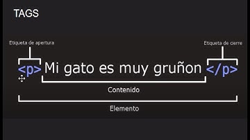 Localizadores Xpath Login Twitter selenium - Automatización testing