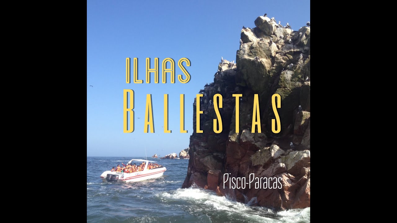 Ilhas Ballestas, Paracas - Peru #8