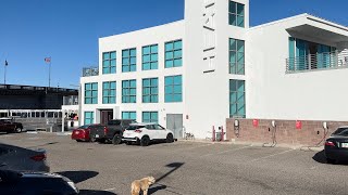 Dog Friendly Hotel Review for the dogs, HEAT Hotel in Lake Havasu, AZ, traveling with dog
