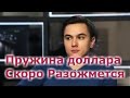 Владислав Жуковский - Пружина доллара скоро разожмется