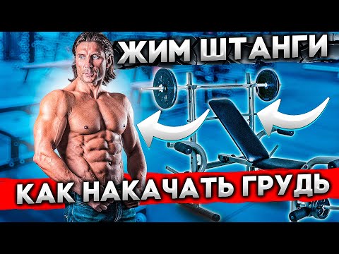 ЖИМ ШТАНГИ ЛЕЖА / Теория, правила и техника выполнения. Упражнения для груди.