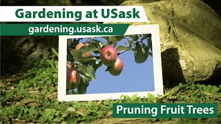 Fruit Tree Pruning