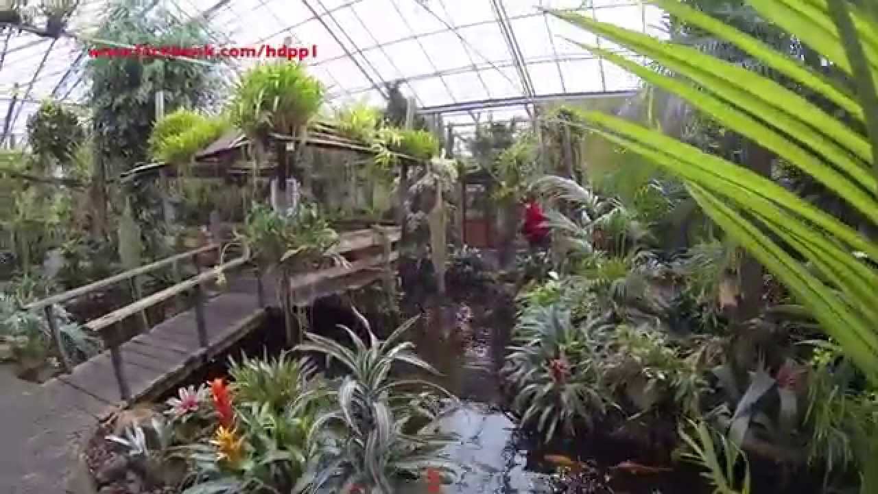 Orchideeen Hoeve In Luttelgeest Youtube