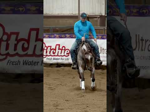 Doing a lead change should become second-nature to your horse
