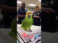 Police Ask Question -- Parrot Roast Them