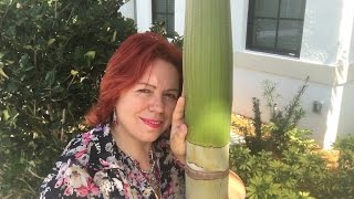 151. Просто хорошее настроение 151. Просто хорошее настроение