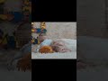 Софийке сегодня 9 месяцев ❤🥳 #baby #декрет