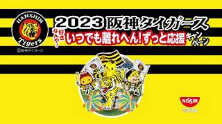 日清 タイガースキャンペーン - YouTube