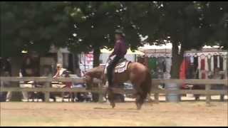 Krymsun Konfidential   2010 Sorrel Gelding by One Hot Krymsun   YouTube