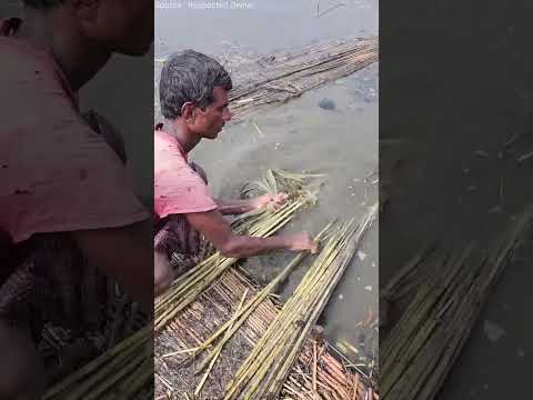 Jute की बोरी कैसे बनती हैं | #shorts