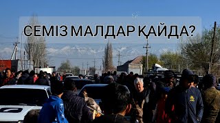 Жаркент мал базары. 02.04.2023ж | Неге жоқ болып кеттің?