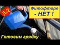 ЧЕМ ПОЛИТЬ ГРЯДКИ, ЧТОБЫ НЕ БЫЛО ФИТОФТОРЫ