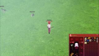 Mabinogi Tutorial Two 2/5