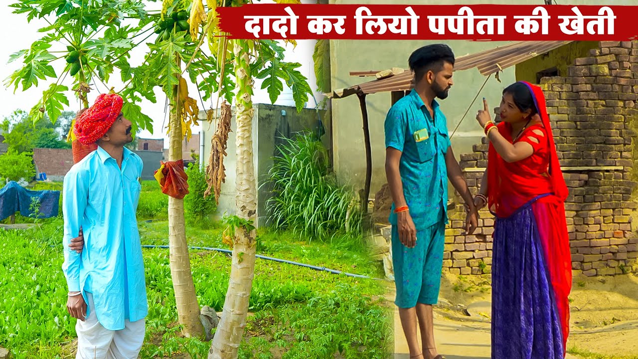 दादो कर लियो पपीता की खेती || New Rajasthani Superhit Comedy 2026 || New Bodhya Manglya Ki Comedy