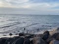 Beautiful sunset at beach | Asmr | new year #ytshorts #beach #melbourne #newyear