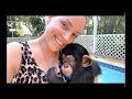 CHIMP BABY POOL PARTY