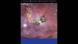 The Lagoon Nebula - A Stellar Nursery #Shorts Astronomy
