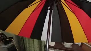 Зонт Немецкая радуга