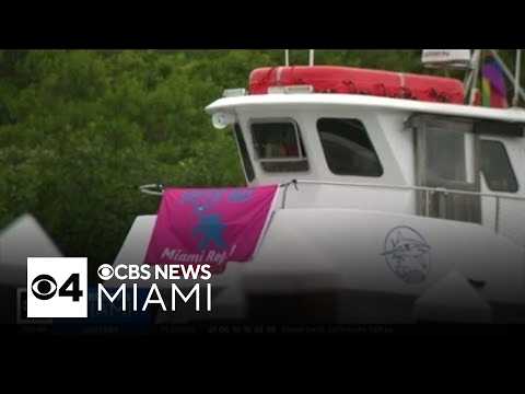 Miami voters to decide the fate of Virginia Key's marinas in November