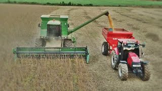 John Deere 1550 + Case Farmal 110 na Colheita da Soja - Ponta Grossa-PR