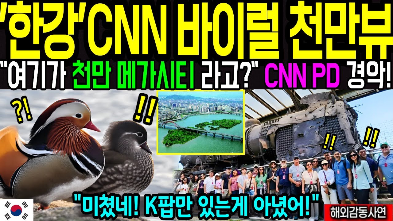서울 한강 또난리났다! CNN 바이럴 초대박! K팝 투어 왔다가 서울의 생태계,  밤섬 람사르 생태에 충격! 청계천, 청계천에 화들짝  [해외감동사연]