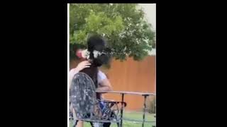 Horozun Intikamı Olsa Gerek.. Tavuğu Mu Kestiler Acaba