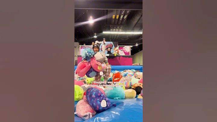 Raided The Squishmallow Pit At Vidcon