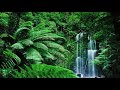 Relaxing Piano Music With Raindrops - Beautiful Piano Music • Relax, Study, Sleep