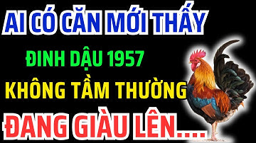 Đinh Dậu 1957 là người Phước lớn - Thần Phật Che Chở, Phước Lộc Giàu Sang nếu Gặp Phải dấu hiệu này!