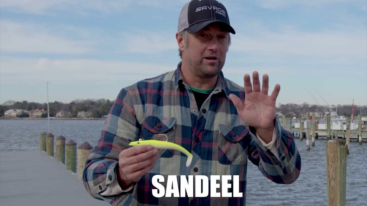 SavageGear Sandeel Promo in Action on Striped Bass 