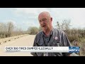Grimes County crews remove hundreds of illegally dumped tires from Holland Creek