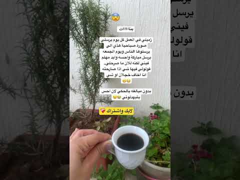 بدون تجريح      اكسبلور اقنباسات