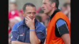 Waterford Hurlers-Up De Deise