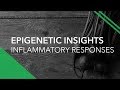 Epigentic Insights, Phytonutrients, and Improving Inflammatory Responses