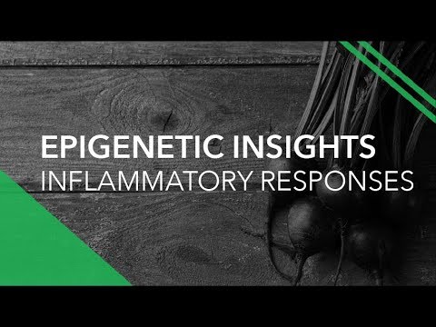 Epigentic Insights, Phytonutrients, and Improving Inflammatory Responses