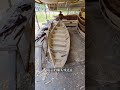 Everyone thought that wooden boats had already been phased out, but after reading about th#3ea58