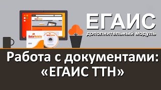 Модуль DataMobile ЕГАИС. Работа с документами: Модуль DataMobile ЕГАИС. Работа с документами: