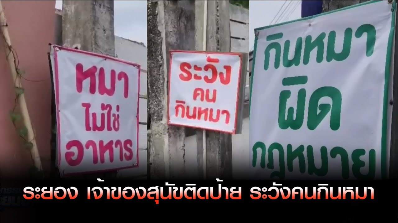 ระยอง เจ้าของสุนัขติดป้าย ระวังคนกินหมา